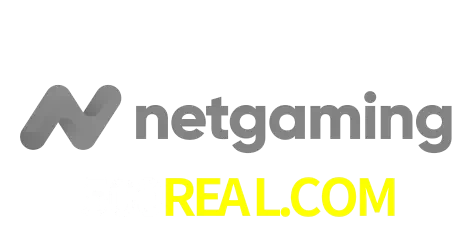 NetGaming